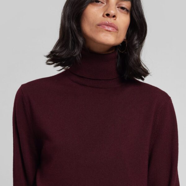 The Frankie Shop Eve Thin Turtleneck Sweater – Burgundy, view 4