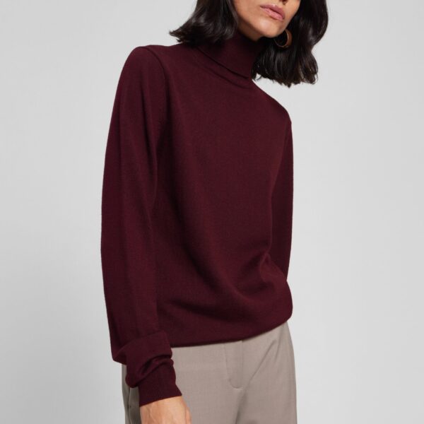 The Frankie Shop Eve Thin Turtleneck Sweater – Burgundy, view 6