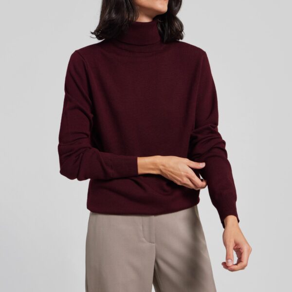 The Frankie Shop Eve Thin Turtleneck Sweater – Burgundy, view 7