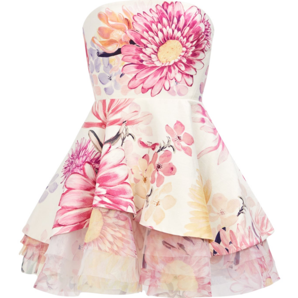 Aje Lydia Mini Dress