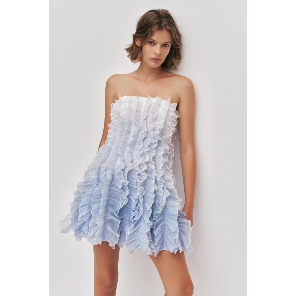 Temperance Mini Dress