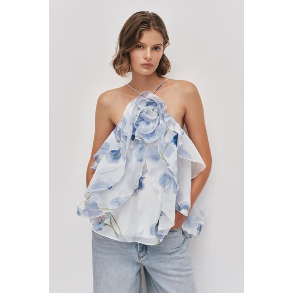 Pandorea Layered Top