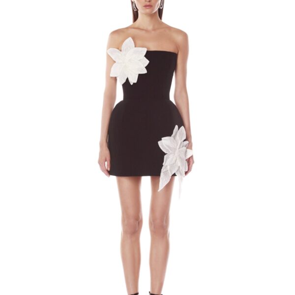 Bronx and Banco Jasmine Maraya Black & White Mini Dress