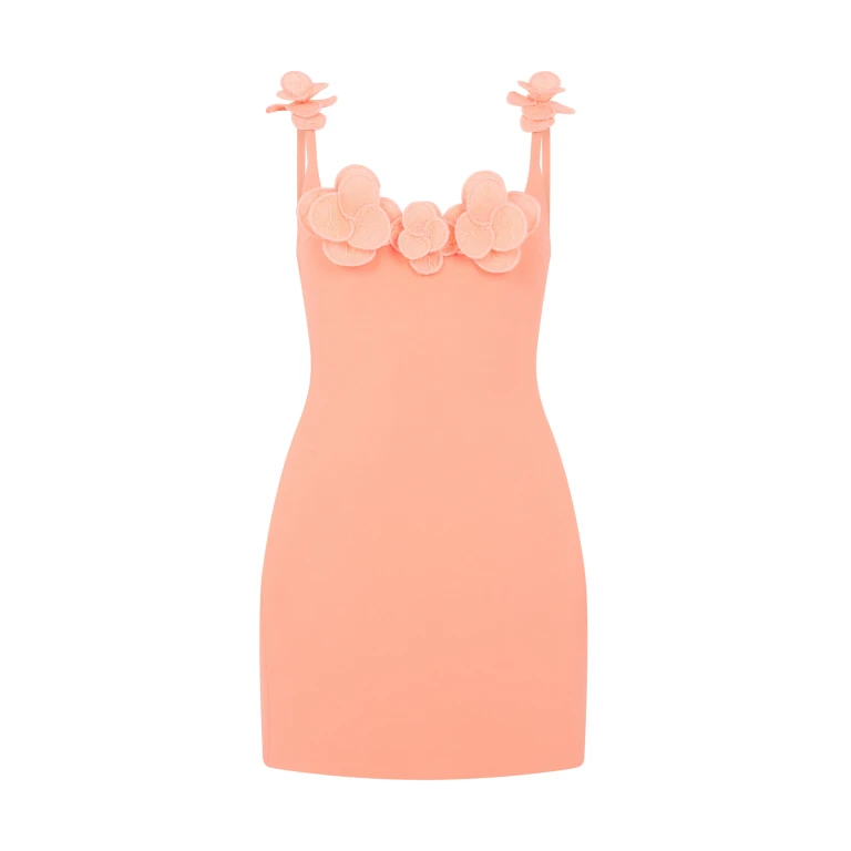 David Koma 3D Lace Flower Mini Dress