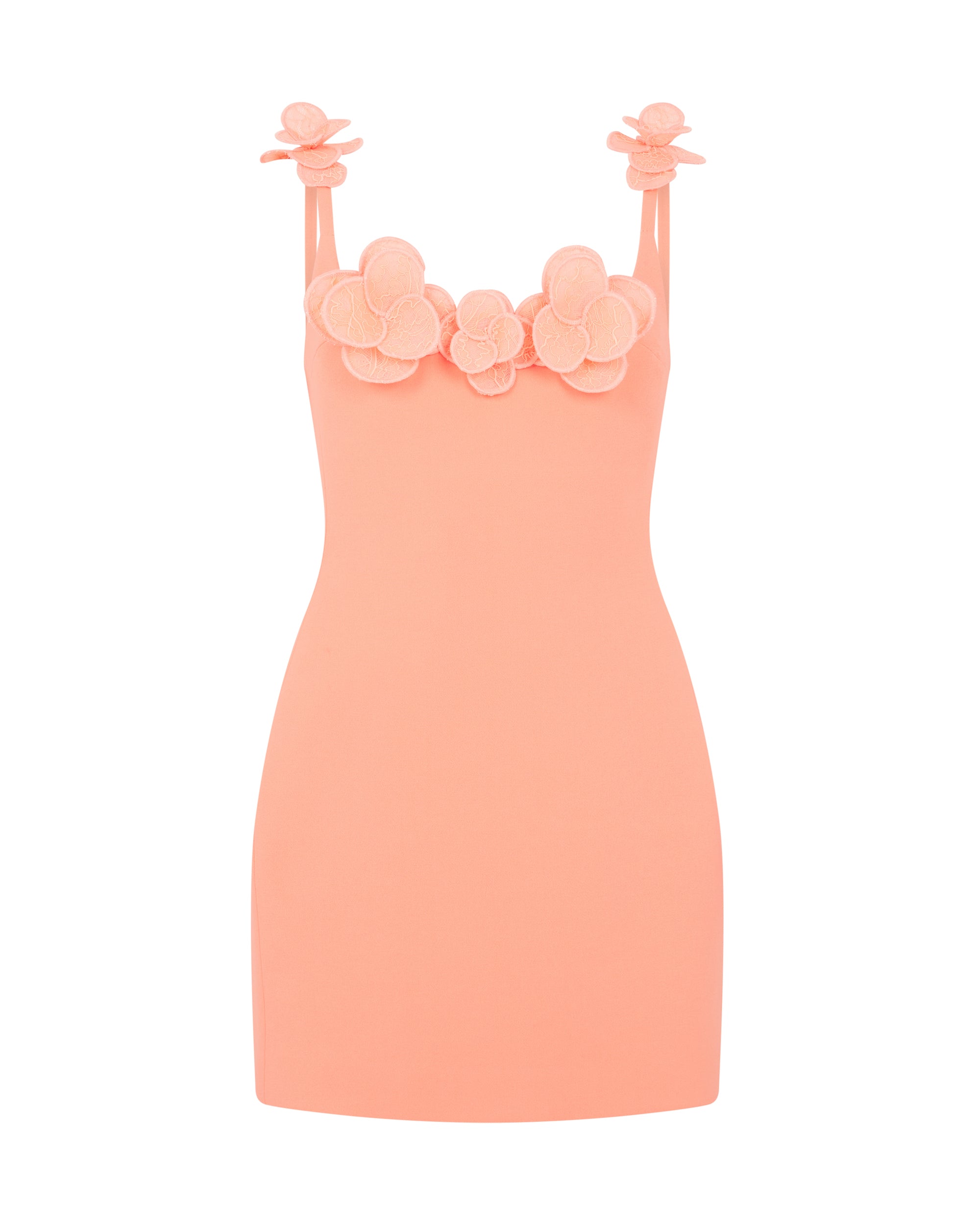 David Koma 3D Lace Flower Mini Dress
