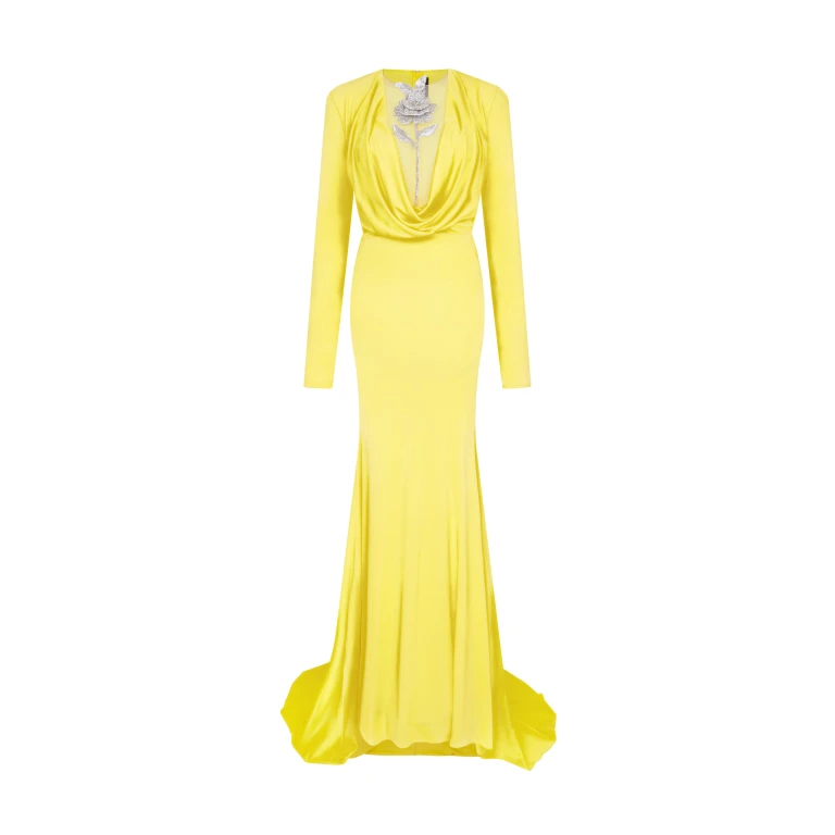 David Koma Crystal Rose Detail Gown In Yellow