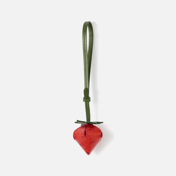 JACQUEMUS The strawberry, view 7