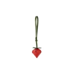 Jacquemus The strawberry - Jacquemus Totes & Top-Handle Bags - Le Chiquito Style - Shop at Luxury Shoes 