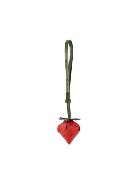 Jacquemus The strawberry - Jacquemus Totes & Top-Handle Bags - Le Chiquito Style - Shop at Luxury Shoes 