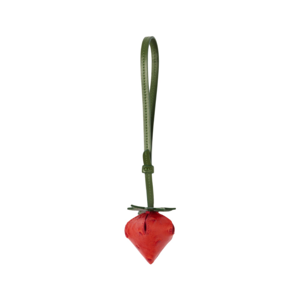 JACQUEMUS The strawberry