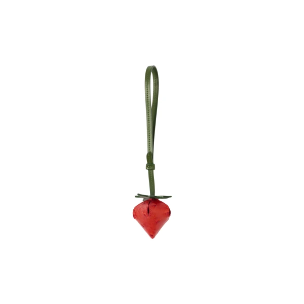 Jacquemus The strawberry - Jacquemus Totes & Top-Handle Bags - Le Chiquito Style - Shop at Luxury Shoes 