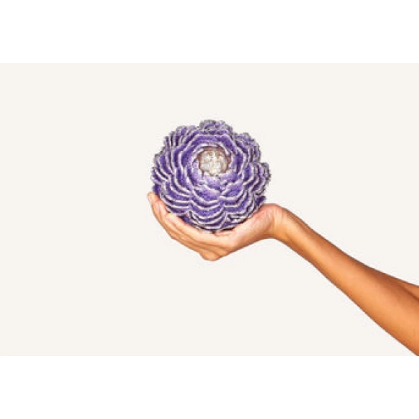 Judith Leiber Splendid Peony - Judith Leiber Crystal Clutch - Luxury Evening Bag - Shop at Luxury Shoes 