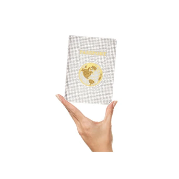 Judith Leiber Traveler Silver - Judith Leiber Crystal Clutch - Luxury Evening Bag - Shop at Luxury Shoes 