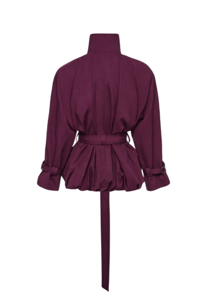 Magda Butrym dress