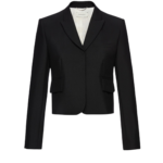 Magda Butrym dress