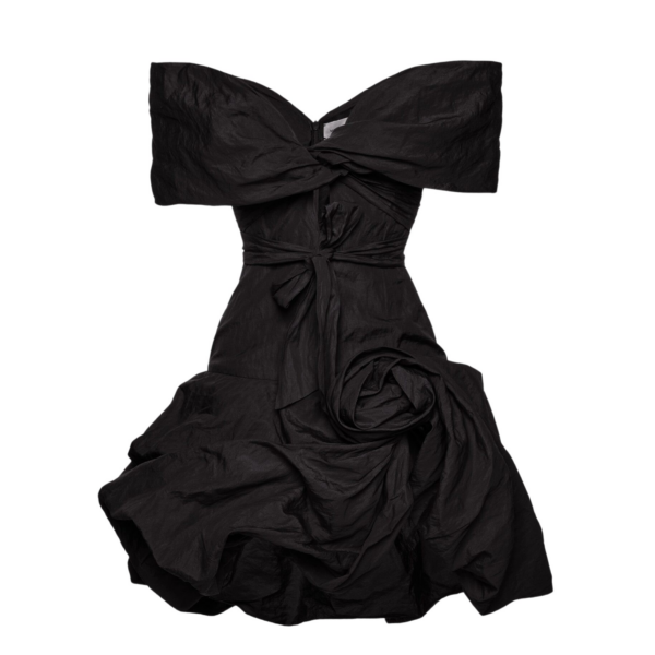 Magda Butrym dress