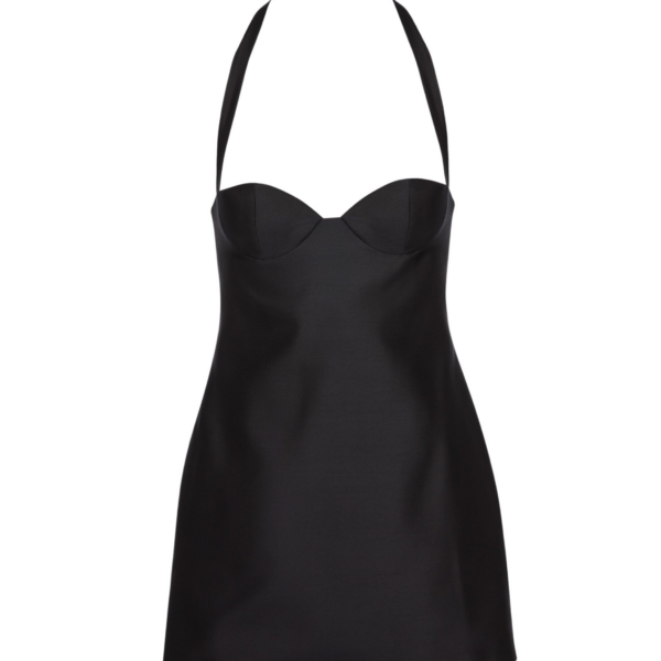 Magda Butrym dress