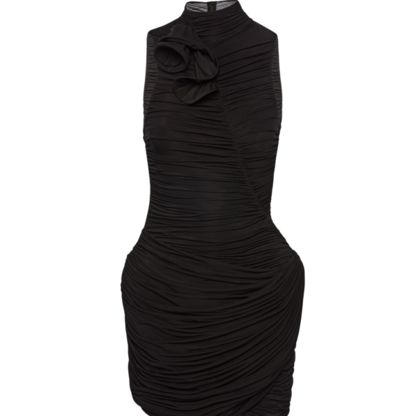 Magda Butrym dress