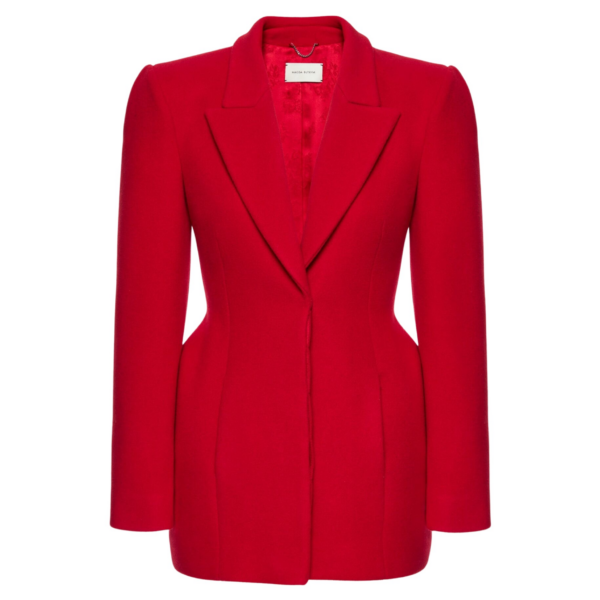 Magda Butrym dress