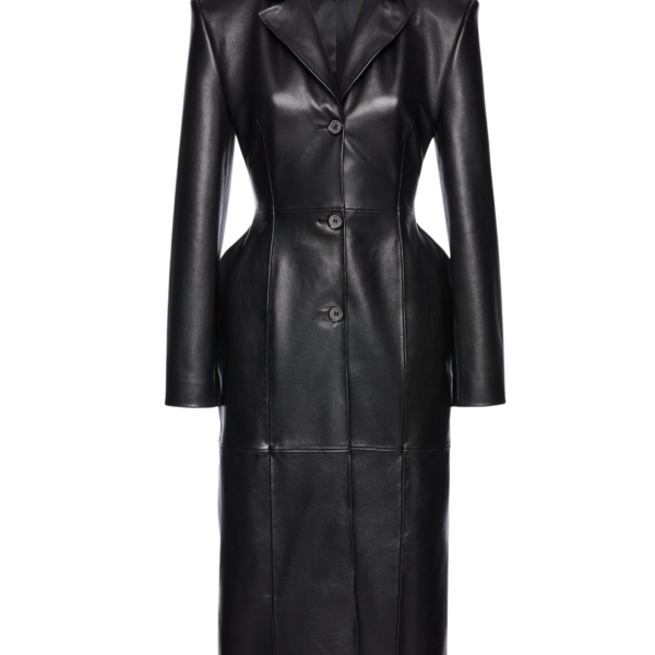 Magda Butrym dress
