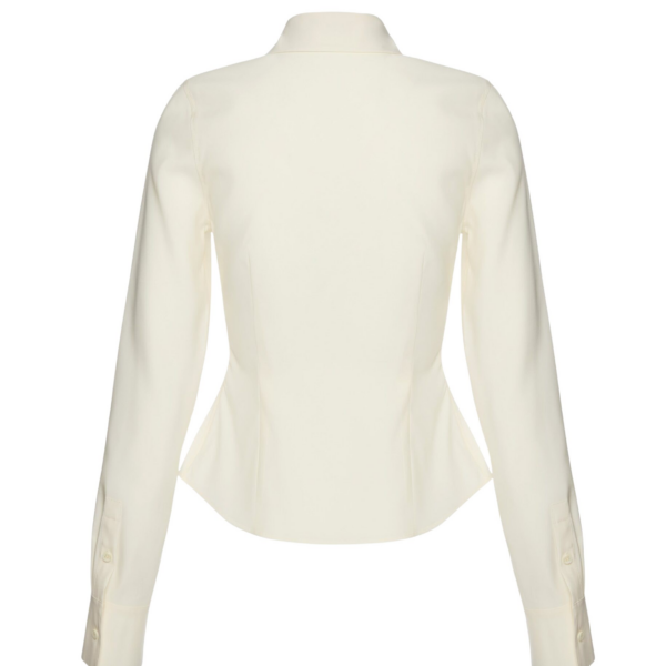 Magda Butrym dress