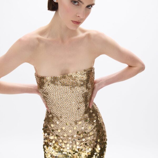 Rachel Gilbert Remy Gown, view 4