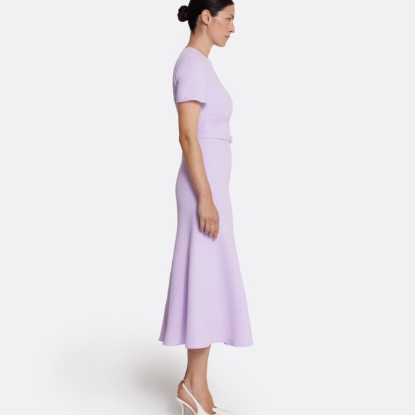 Safiyaa Luisa Midi Dress in Verbena, view 5