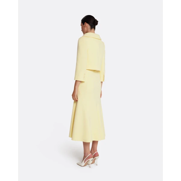 Safiyaa Marialuisa Skirt in Pale Yellow - Safiyaa Skirts - Heavy Crepe Cape Gown - Shop at Luxury Shoes 