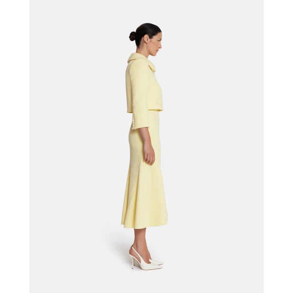 Safiyaa Marialuisa Skirt in Pale Yellow - Safiyaa Skirts - Heavy Crepe Cape Gown - Shop at Luxury Shoes 