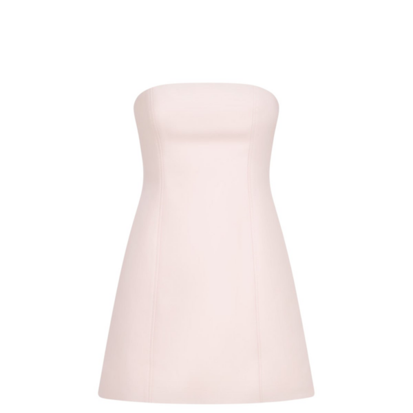 Shona Joy Otis Panelled Strapless Mini Dress – Fairyfloss