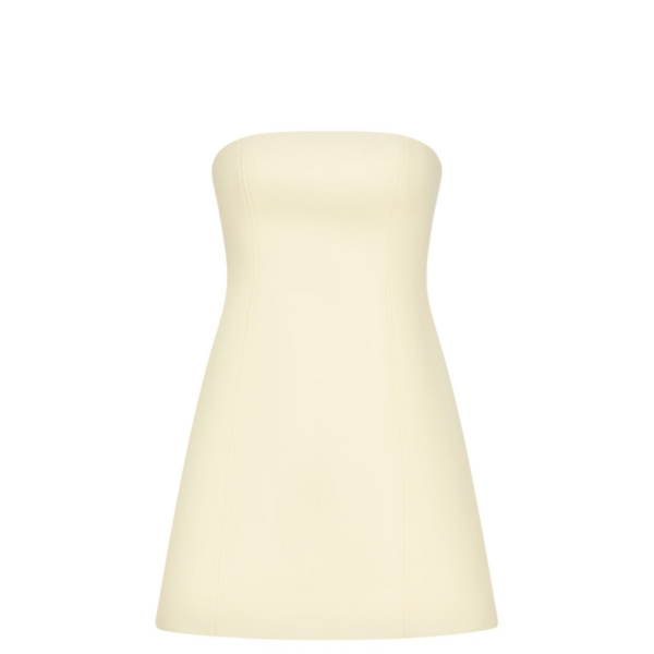 Shona Joy Otis Panelled Strapless Mini Dress – Yuzu