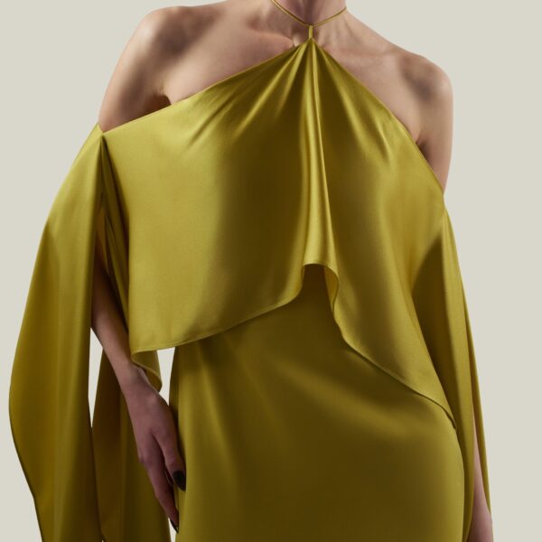 Taller Marmo Nan Dress In Gold Kiwi, view 6