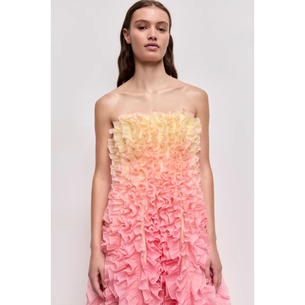 Delphie Frill Midi Dress