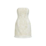 Aje Perilla Embroidered Mini Dress