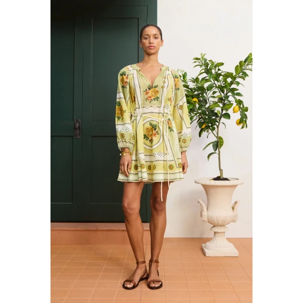 Alemais Dixie Mini Dress  Sustainable Dresses with Alemais print -  Luxury Handbags Australian Designer