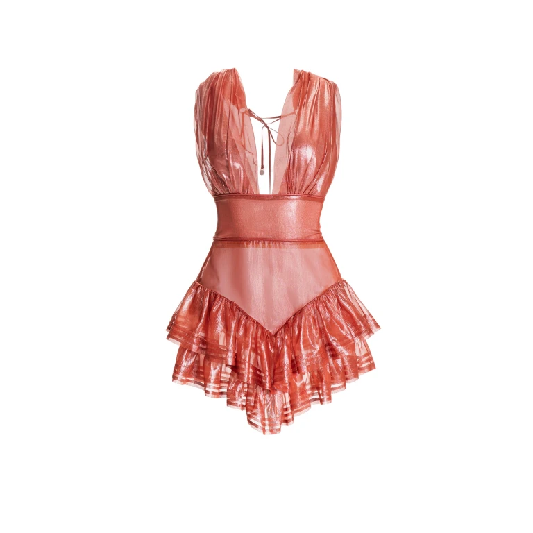 Maria Lucia Hohan gown