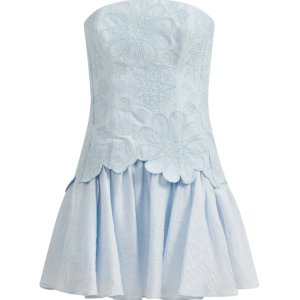Aje Gia Embroidered Mini Dress