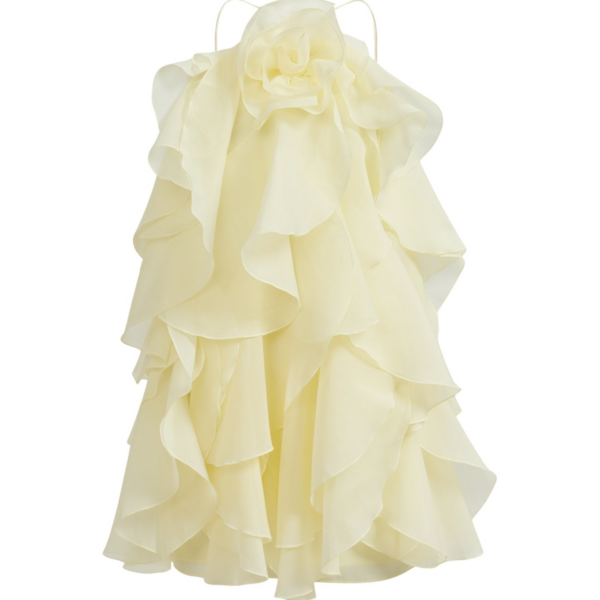 Aje Pandorea Layered Mini Dress