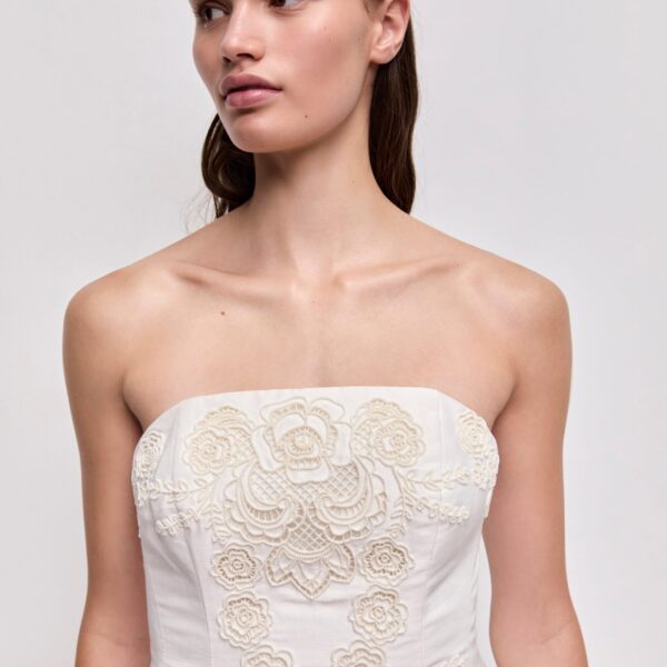 Aje Perilla Embroidered Mini Dress, view 4
