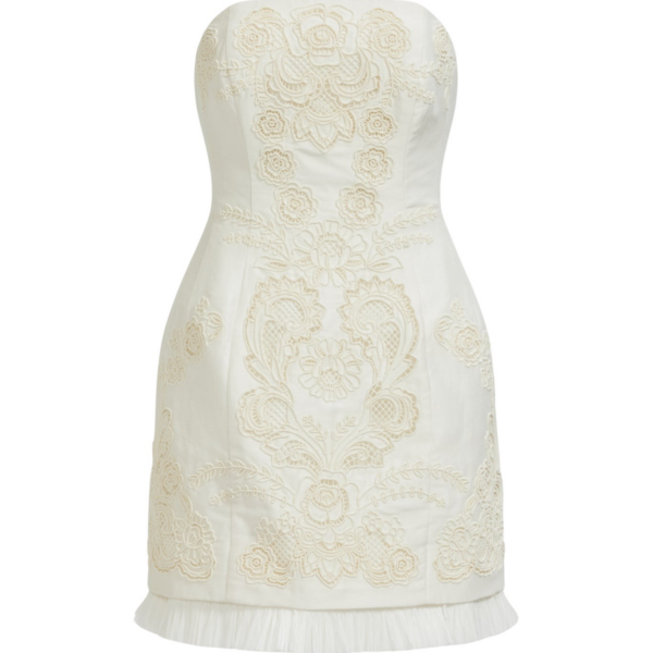 Aje Perilla Embroidered Mini Dress