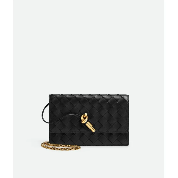 Khaite Women's Andiamo Pouch on Chain in Black - Black Shoulder & Crossbody Bags - The Lotus Tote Bag - Shop at Luxury Shoes 