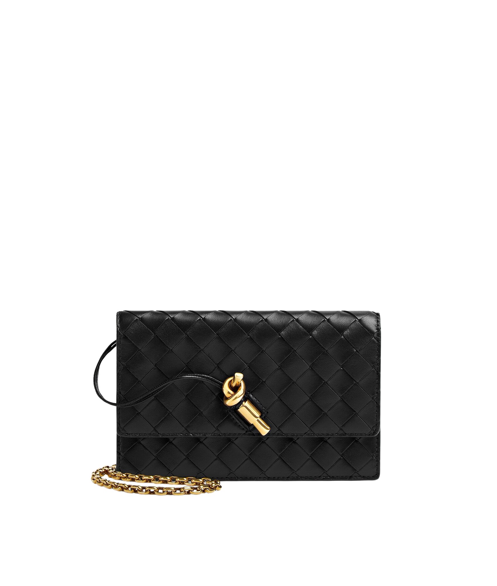 Black-Womens-Andiamo-Pouch-on-Chain-in-Black-coveti21163_nobg Bottega Veneta Women’s Andiamo Pouch on Chain in Black