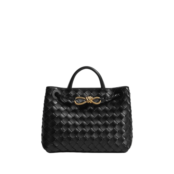 Bottega Veneta Women’s Small Andiamo in Black