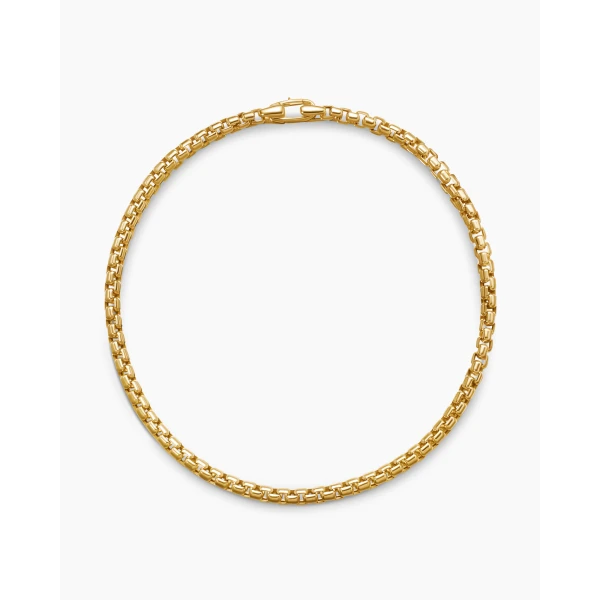 2.7mm Gold – worn on the wrist