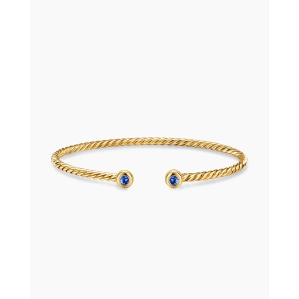 2.6mm in Blue – front view of authentic Cable Bracelets at Luxury Shoes |David Yurman Micro Cablespira® Flex Round Bracelet in 18K Yellow Gold with Blue Sapphires
