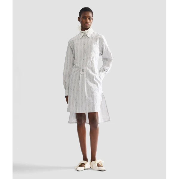 Erdem Ditsy Cotton Stripe Long Sleeve Mini Shirt Dress - Dresses - British Romantic Luxury at Luxury Shoes 