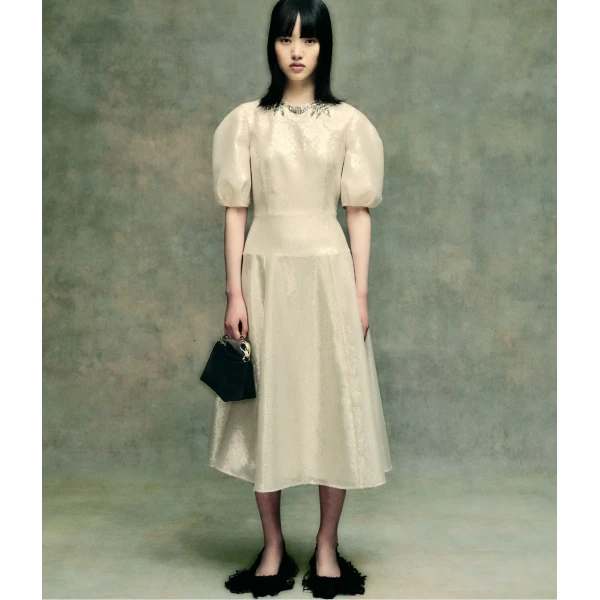 Erdem Embellished Organza Sequin Midi Dress - Dresses - British Romantic Luxury at Luxury Shoes 