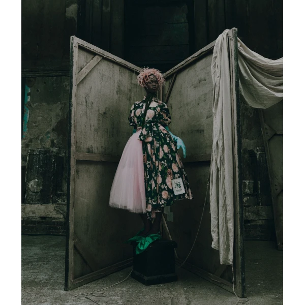 Erdem Floral Print Short Sleeve Midi Dress - Dresses - British Romantic Luxury at Luxury Shoes 