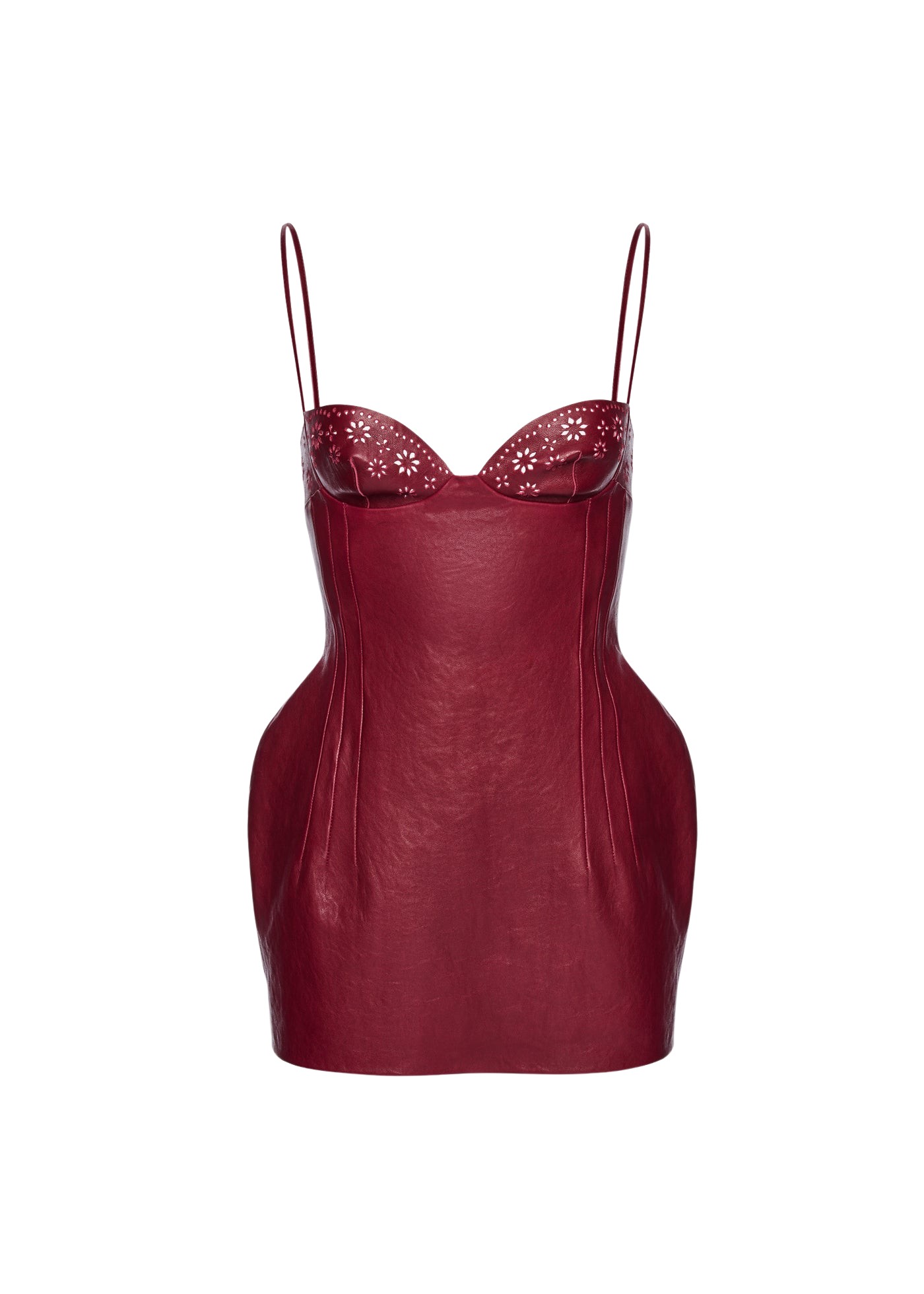 Magda-Butrym-Floral-Detailing-Leather-Mini-Dress-In-Cherry-Red88387_nobg Magda Butrym dress