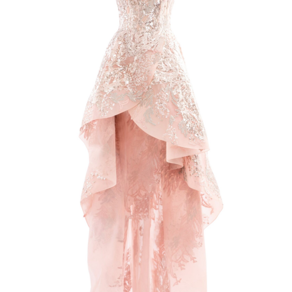 Saiid Kobeisy Embroidered High-Low Dress